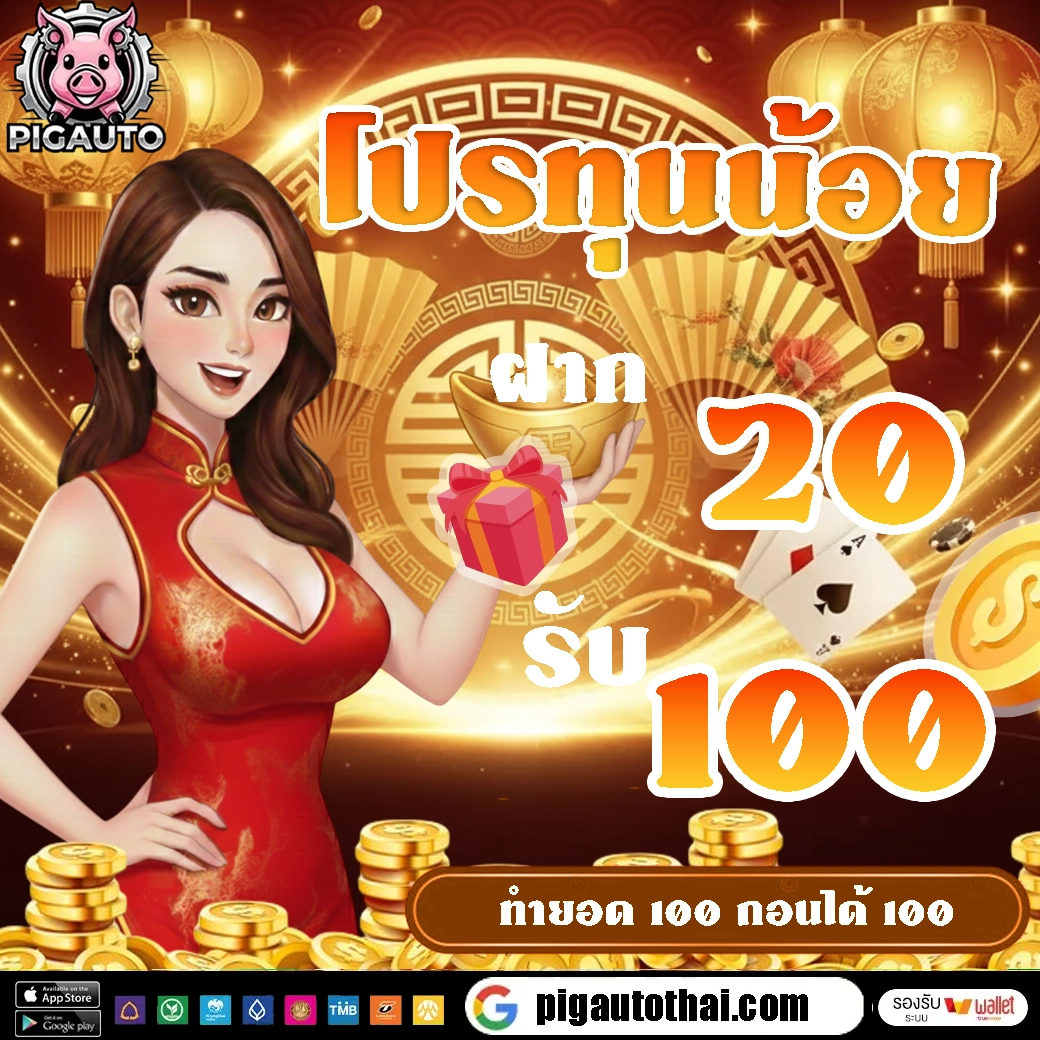 โปรทุนน้อย by pigauto